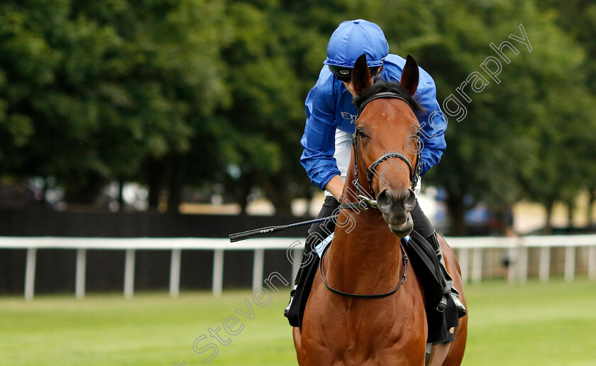 Noble-Style-0002 
 NOBLE STYLE (David Probert) winner of The Watch Live On Racing TV British EBF Novice Stakes
Newmarket 29 Jul 2022 - Pic Steven Cargill / Racingfotos.com