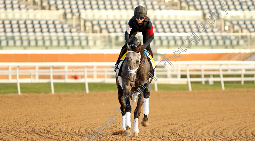 Colonel-Liam-0005 
 COLONEL LIAM training for the Dubai Turf
Meydan, Dubai, 23 Mar 2022 - Pic Steven Cargill / Racingfotos.com