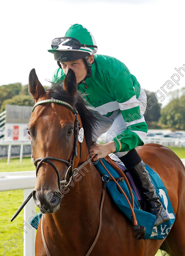 Vingegaard-0001 
 VINGEGAARD (Luke Morris)
York 24 Aug 2024 - Pic Steven Cargill / Racingfotos.com