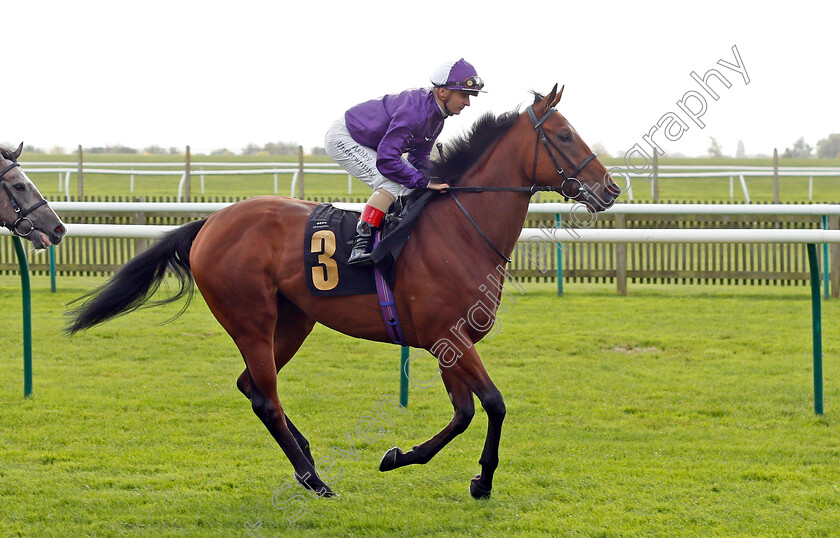 Lila-Girl 
 LILA GIRL (Andrea Atzeni)
Newmarket 20 Oct 2021 - Pic Steven Cargill / Racingfotos.com