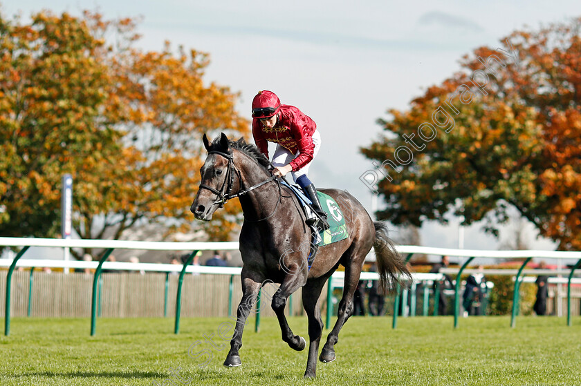 Roaring-Lion-0001 
 ROARING LION (Oisin Murphy) winner of The Juddmonte Royal Lodge Stakes Newmarket 30 Sep 2017 - Pic Steven Cargill / Racingfotos.com