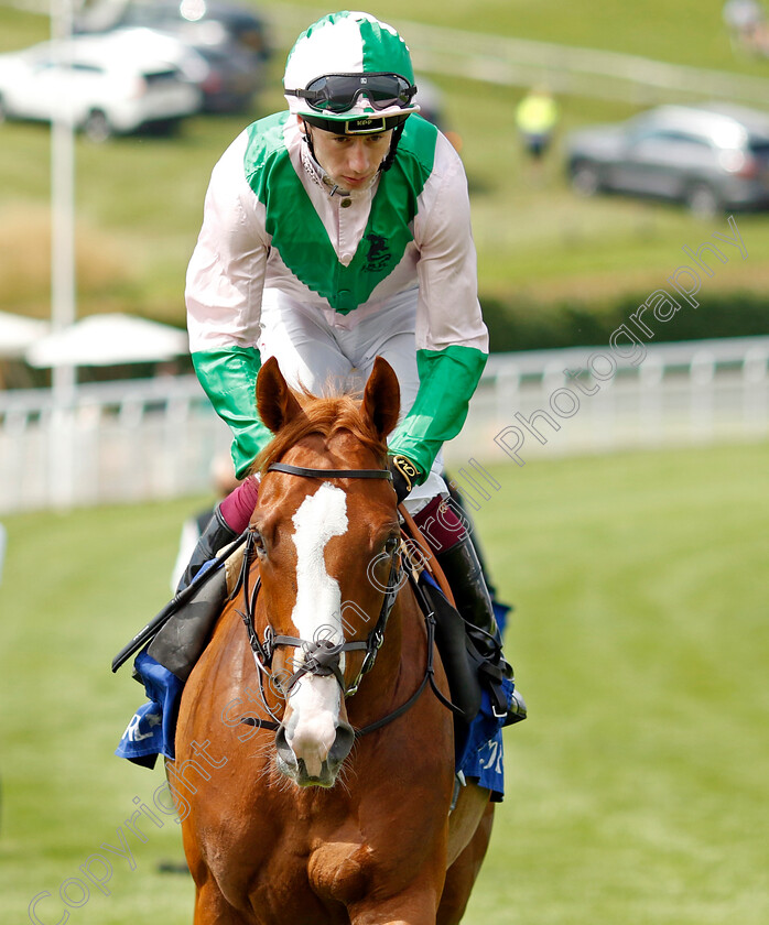 Subsequent-0001 
 SUBSEQUENT (Oisin Murphy)
Goodwood 31 Jul 2024 - Pic Steven Cargill / Racingfotos.com