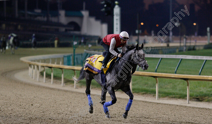 Roaring-Lion-0002 
 ROARING LION exercising ahead of The Breeders' Cup Classic
Churchill Downs USA 30 Oct 2018 - Pic Steven Cargill / Racingfotos.com