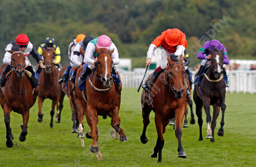 Nell-Quickly-0003 
 NELL QUICKLY (right, Cieren Fallon) beats MAYTAL (centre) in The British EBF Premier Fillies Handicap
Salisbury 12 Aug 2021 - Pic Steven Cargill / Racingfotos.com