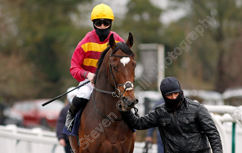 Expect-To-Succeed-0001 
 EXPECT TO SUCCEED (Jack Mitchell)
Lingfield 27 Jan 2021 - Pic Steven Cargill / Racingfotos.com