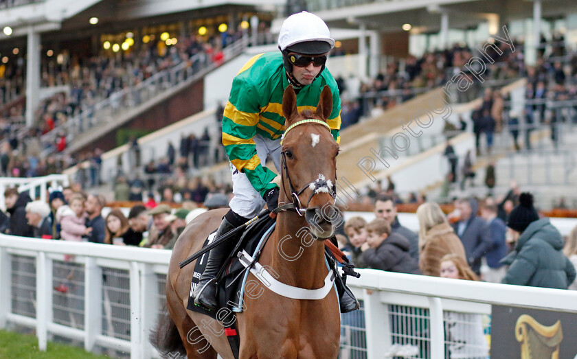 Under-Control-0001 
 UNDER CONTROL (Nico de Boinville)
Cheltenham 17 Nov 2024 - Pic Steven Cargill / Racingfotos.com