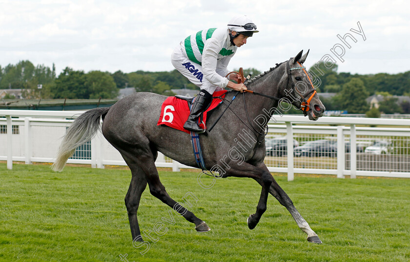 Alerta-Roja 
 ALERTA ROJA (Luke Morris)
Sandown 1 Jul 2022 - Pic Steven Cargill / Racingfotos.com