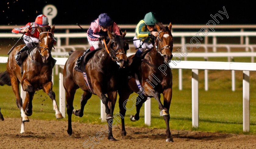 Lord-Lovelace-and-Golden-Owl-0001 
 GOLDEN OWL (left, Oisin Murphy) and LORD LOVELACE (right, William Buick) in The Support The Injured Jockeys Fund Novice Stakes
Chelmsford 14 Oct 2021 - Pic Steven Cargill / Racingfotos.com