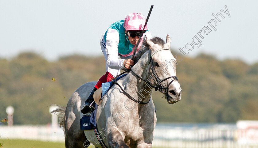 Logician-0019 
 LOGICIAN (Frankie Dettori) wins The William Hill St Leger Stakes
Doncaster 14 Sep 2019 - Pic Steven Cargill / Racingfotos.com