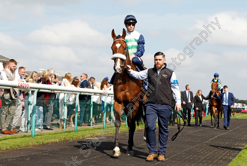 Coltrane-0010 
 COLTRANE (David Probert) winner of The Coral Doncaster Cup
Doncaster 11 Sep 2022 - Pic Steven Cargill / Racingfotos.com