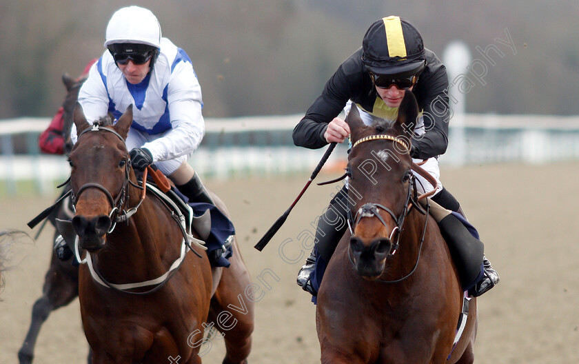 Spirit-Warning-0007 
 SPIRIT WARNING (Joshua Bryan) wins The Ladbrokes Home of The Odds Boost Handicap
Lingfield 2 Feb 2019 - Pic Steven Cargill / Racingfotos.com