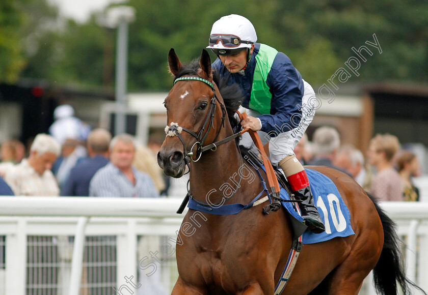 Diligently-Done-0001 
 DILIGENTLY DONE (Andrea Atzeni)
Salisbury 12 Aug 2021 - Pic Steven Cargill / Racingfotos.com