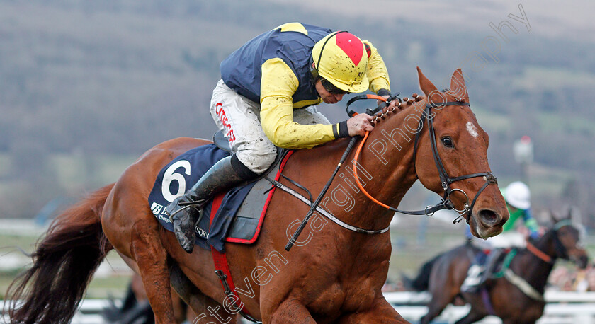 The-Storyteller-0004 
 THE STORYTELLER (Davy Russell) wins The Brown Advisory & Merriebelle Stable Plate Handicap Chase Cheltenham 15 Mar 2018 - Pic Steven Cargill / Racingfotos.com