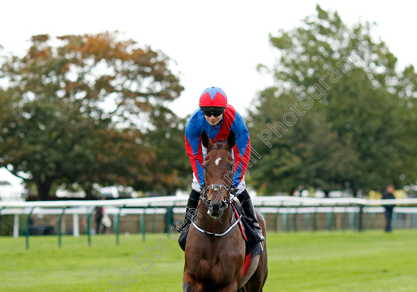 Samui-0001 
 SAMUI (Jamie Spencer)
Newmarket 26 Sep 2024 - pic Steven Cargill / Racingfotos.com