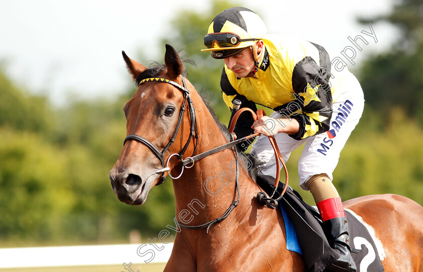 Hermosita-0001 
 HERMOSITA (Andrea Atzeni)
Chelmsford 13 Jun 2018 - Pic Steven Cargill / Racingfotos.com