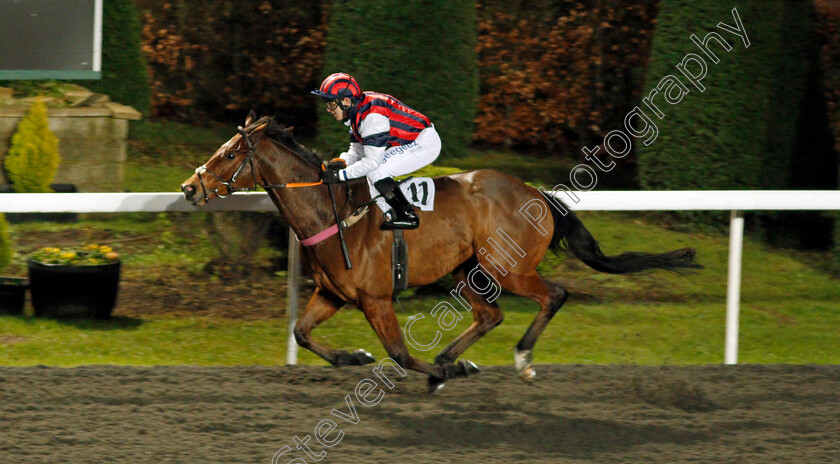 Mr-Zee-0003 
 MR ZEE (Marco Ghiani) wins The Follow @racingtv On Twitter Classified Stakes
Kempton 13 Jan 2021 - Pic Steven Cargill / Racingfotos.com