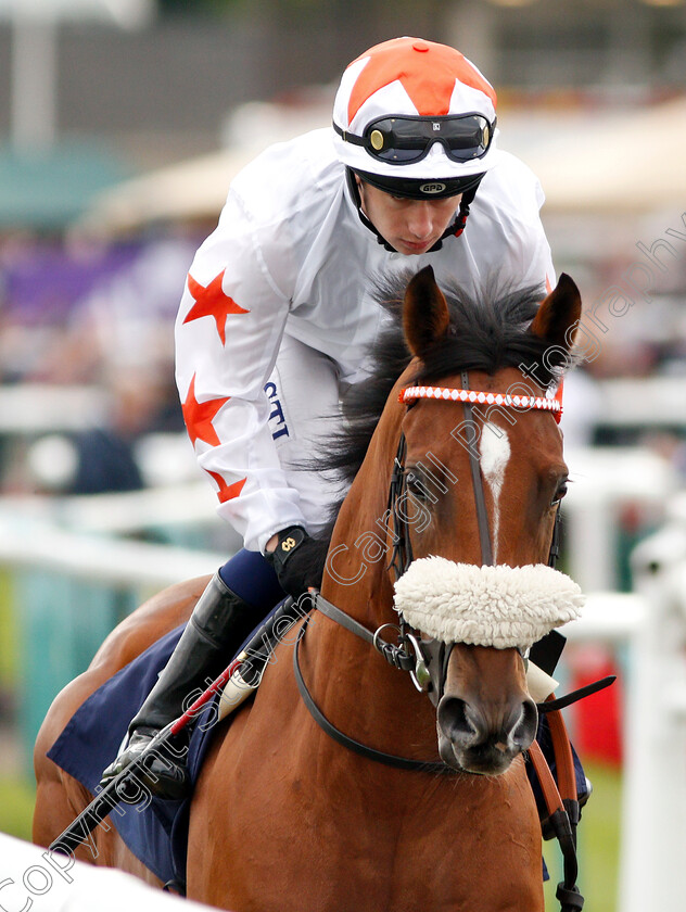 Dubai-Dominion-0002 
 DUBAI DOMINION (Oisin Murphy)
Doncaster 14 Sep 2018 - Pic Steven Cargill / Racingfotos.com