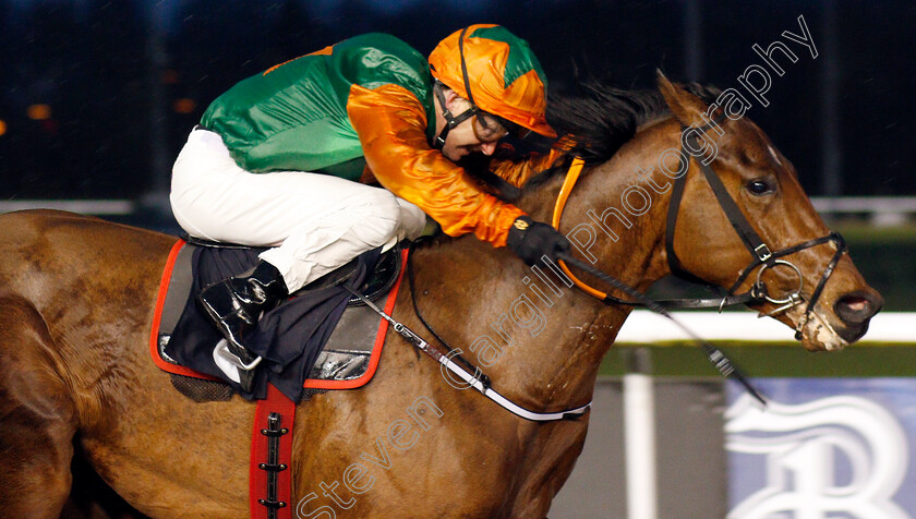 Pink-Jazz-0003 
 PINK JAZZ (Joe Fanning) wins The Ladbrokes Football Acca Boosty Handicap
Wolverhampton 13 Jan 2020 - Pic Steven Cargill / Racingfotos.com