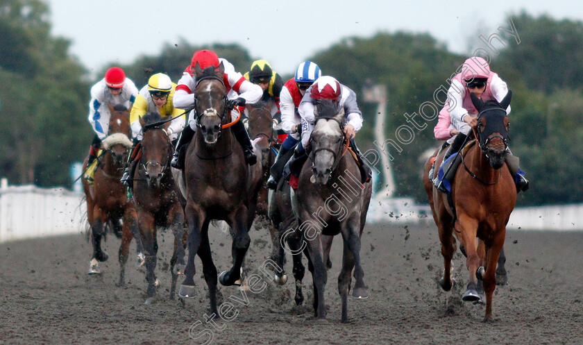 Molivaliente-0003 
 MOLIVALIENTE (left, Kieren Fox) beats NEFARIOUS (centre) and MAID FOR LIFE (right) in The 32Red.com Handicap
Kempton 10 Jul 2019 - Pic Steven Cargill / Racingfotos.com