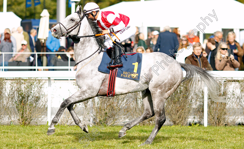 Duca-Di-Como-0008 
 DUCA DI COMO (Elione Chaves) winner of The Tattersalls Nickes Minneslopning
Bro Park, Sweden 18 Sep 2022 - Pic Steven Cargill / Racingfotos.com