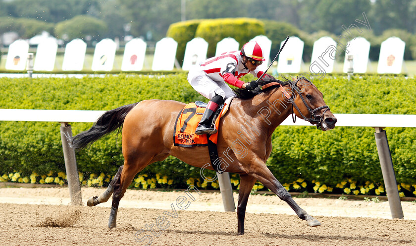 Separationofpowers-0005 
 SEPARATIONOFPOWERS (Jose Ortiz) wins The Bed O'Roses Invitational
Belmont Park USA 7 Jun 2019 - Pic Steven Cargill / Racingfotos.com