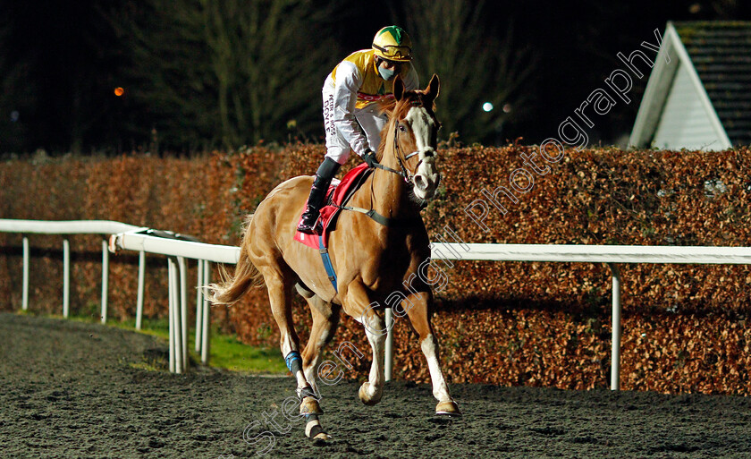 Herculean-0001 
 HERCULEAN (Sean Levey)
Kempton 3 Feb 2021 - Pic Steven Cargill / Racingfotos.com