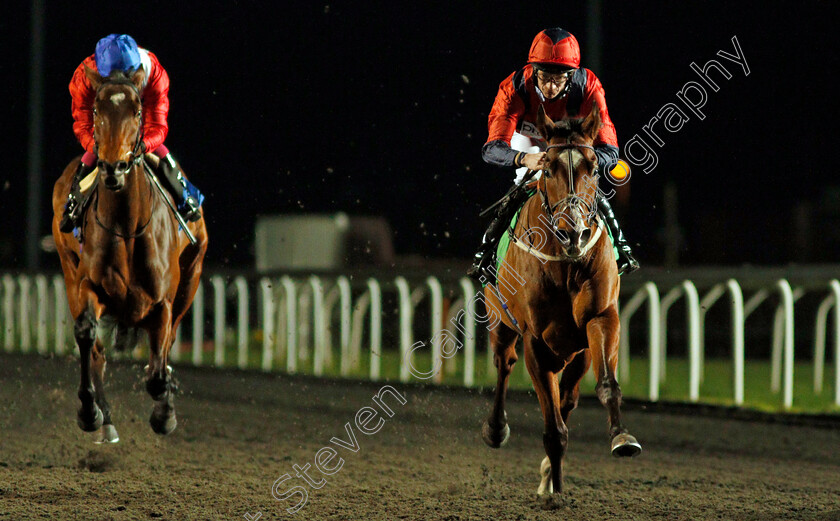 Sarim-0002 
 SARIM (Thomas Greatrex)
Kempton 17 Feb 2020 - Pic Steven Cargill / Racingfotos.com