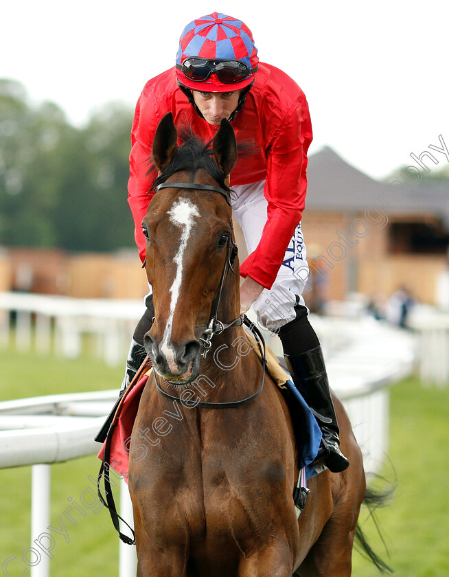 Mekong-0001 
 MEKONG (Ryan Moore)
York 15 Jun 2019 - Pic Steven Cargill / Racingfotos.com