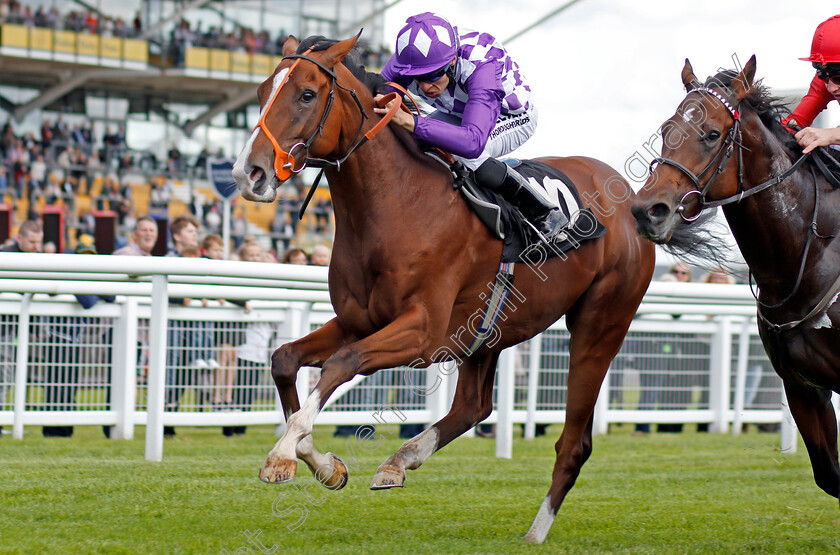 Orange-Suit-0003 
 ORANGE SUIT (Sean Levey) wins The British Stallion Studs EBF Maiden Stakes Div1 Newbury 22 Sep 2017 - Pic Steven Cargill / Racingfotos.com