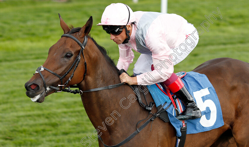 Lah-Ti-Dar-0008 
 LAH TI DAR (Frankie Dettori) wins The British EBF & Sir Henry Cecil Galtres Stakes
York 23 Aug 2018 - Pic Steven Cargill / Racingfotos.com