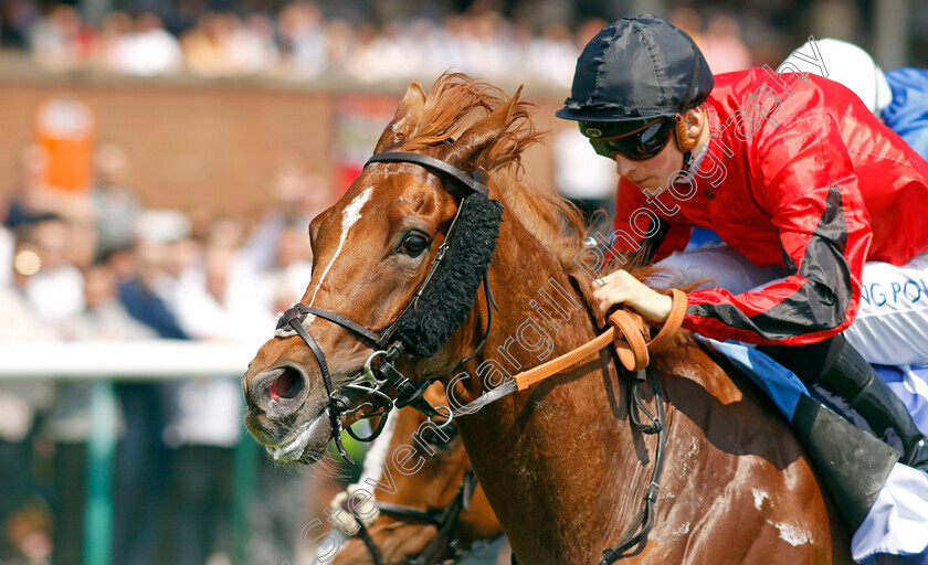 Cumulonimbus-0001 
 CUMULONIMBUS (Harry Davies) wins The Better Betting With Sky Bet Handicap
Haydock 10 Jun 2023 - Pic Steven Cargill / Racingfotos.com