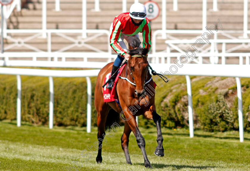 Earlswood-0001 
 EARLSWOOD (Ben Coen)
Chester 6 May 2021 - Pic Steven Cargill / Racingfotos.com