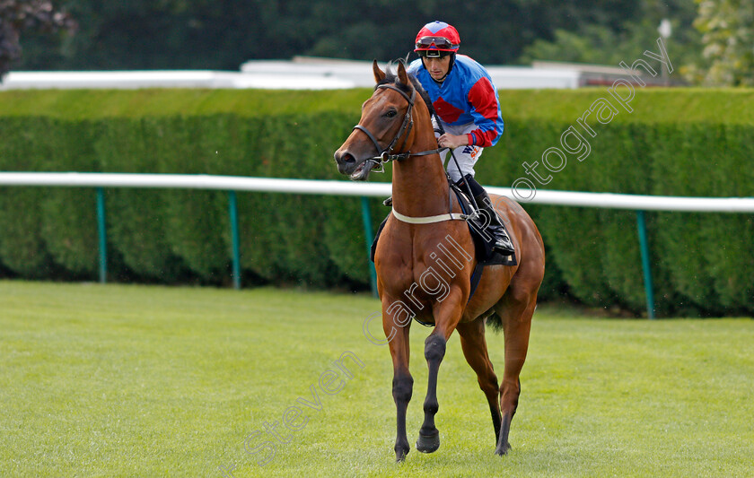 Glamorous-Express-0001 
 GLAMOROUS EXPRESS (Trevor Whelan)
Nottingham 10 Aug 2021 - Pic Steven Cargill / Racingfotos.com