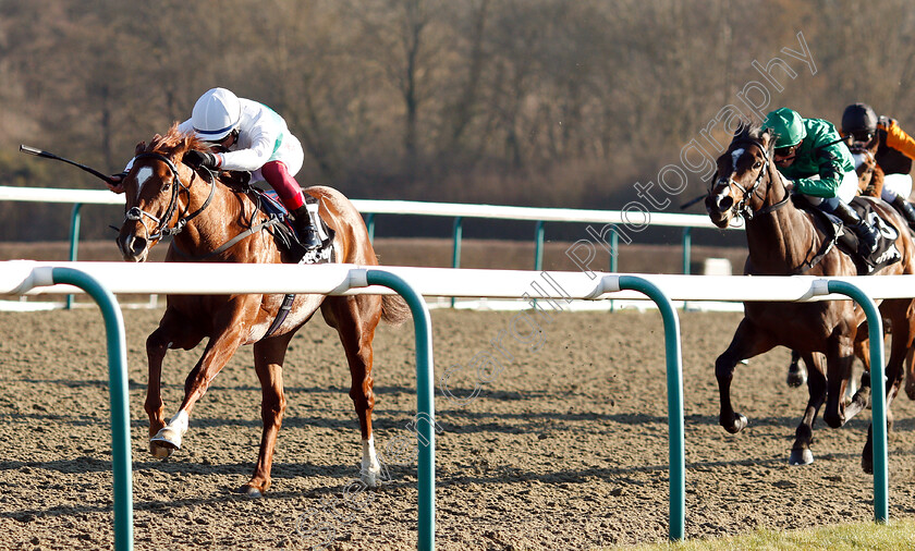 Wissahickon-0008 
 WISSAHICKON (Frankie Dettori) wins The Betway Winter Derby Stakes
Lingfield 23 Feb 2019 - Pic Steven Cargill / Racingfotos.com