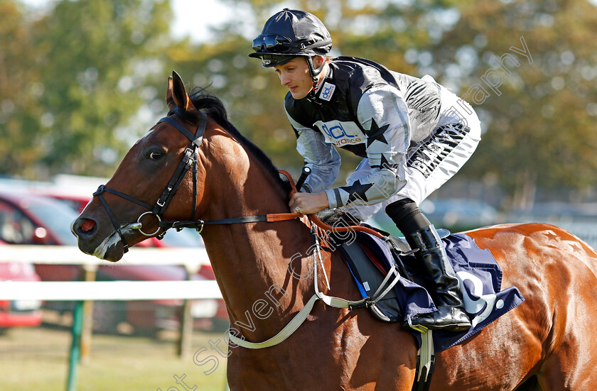 Sefton-Warrior-0002 
 SEFTON WARRIOR (Harry Bentley)
Yarmouth 18 Sep 2019 - Pic Steven Cargill / Racingfotos.com