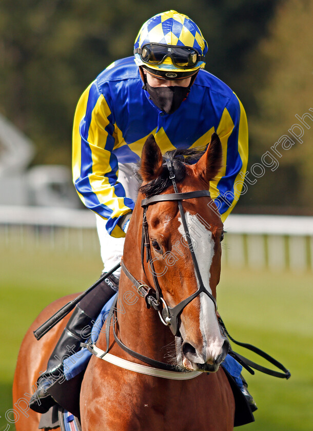 He s-A-Latchico-0001 
 HE'S A LATCHICO (Hector Crouch)
Salisbury 1 Oct 2020 - Pic Steven Cargill / Racingfotos.com