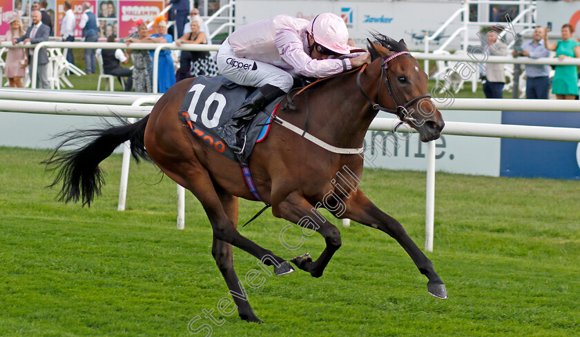 Polly-Pott-0001 
 POLLY POTT (Daniel Tudhope) wins The Cazoo May Hill Stakes
Doncaster 8 Sep 2022 - Pic Steven Cargill / Racingfotos.com