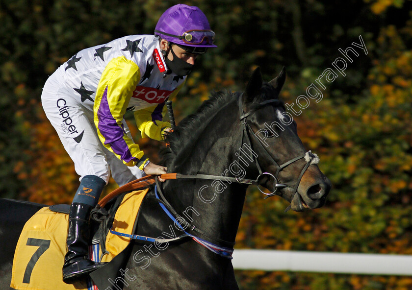 Mummy s-Boy-0001 
 MUMMY'S BOY (Kieran Shoemark)
Kempton 11 Nov 2020 - Pic Steven Cargill / Racingfotos.com