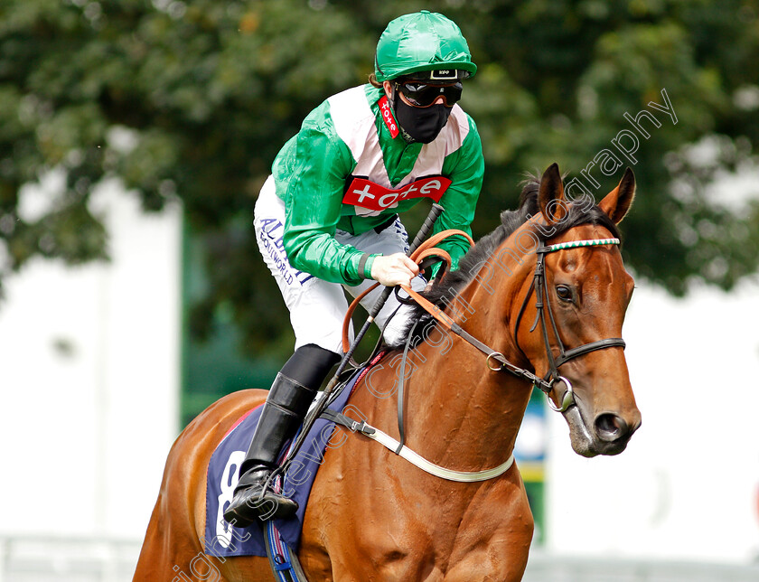 Cheese-And-Wine-0001 
 CHEESE AND WINE (Pat Cosgrave)
Yarmouth 15 Jul 2020 - Pic Steven Cargill / Racingfotos.com