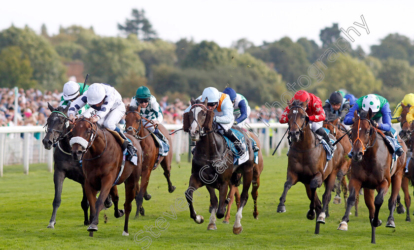 Gushing-Gold-0004 
 GUSHING GOLD (left, William Buick) beats LEXINGTON BELLE (centre) and INISHFALLEN (right) in The OR8Wellness EBF Stallions Nursery
York 24 Aug 2023 - Pic Steven Cargill / Racingfotos.com