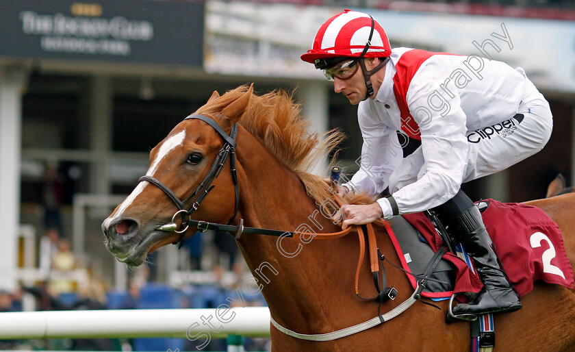 Electric-Storm-0002 
 ELECTRIC STORM (Daniel Tudhope) wins The EBF British Stallion Studs Cecil Frail Stakes
Haydock 24 May 2024 - Pic Steven Cargill / Racingfotos.com