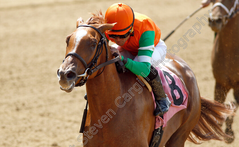 Cosita-Mia-0006 
 COSITA MIA (Joel Rosario) wins Maiden Special Weight
Belmont Park 7 Jun 2018 - Pic Steven Cargill / Racingfotos.com