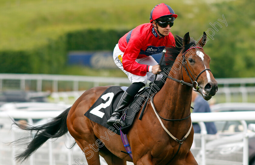 Billboard-Star-0001 
 BILLBOARD STAR (Charles Bishop)
Goodwood 9 Jun 2024 - Pic Steven Cargill / Racingfotos.com