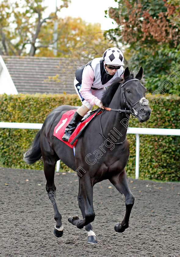 Beauty-Choice-0001 
 BEAUTY CHOICE (Stevie Donohoe)
Kempton 9 Oct 2019 - Pic Steven Cargill / Racingfotos.com