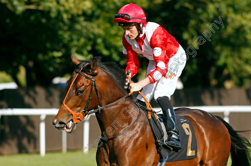 Captain-Cess-0002 
 CAPTAIN CESS (Finley Marsh)
Newmarket 9 Aug 2024 - Pic Steven Cargill / Racingfotos.com