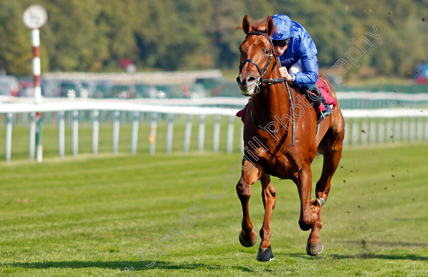 Castle-Way-0003 
 CASTLE WAY (William Buick) wins The Together Commercial Finance EBF Novice Stakes
Haydock 1 Sep 2022 - Pic Steven Cargill / Racingfotos.com