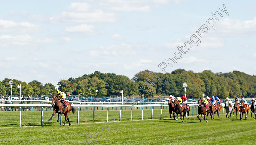 Sakheer-0054 
 SAKHEER (David Egan) wins The Auction Finance EBF Novice Stakes
Haydock 1 Sep 2022 - Pic Steven Cargill / Racingfotos.com