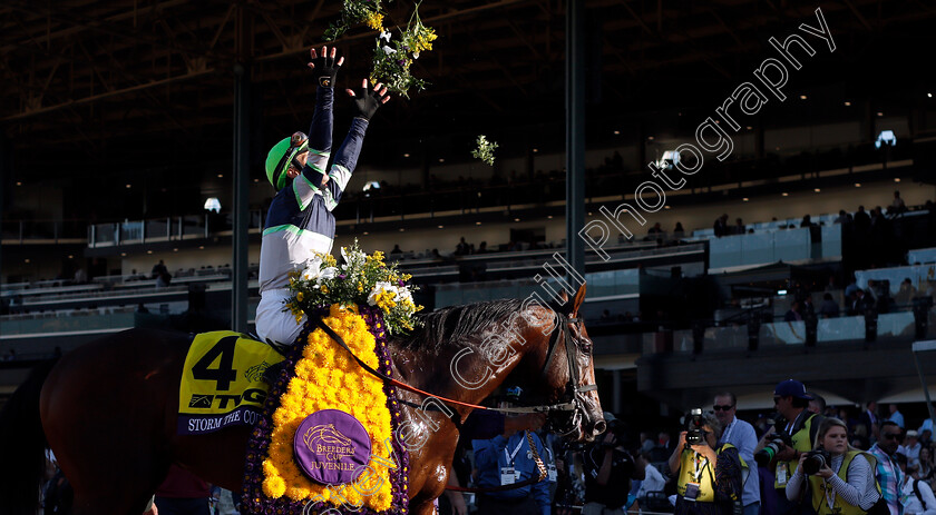 Storm-The-Court-0007 
 STORM THE COURT (Flavien Prat) after The Breeders' Cup Juvenile
Santa Anita USA 1 Nov 2019 - Pic Steven Cargill / Racingfotos.com