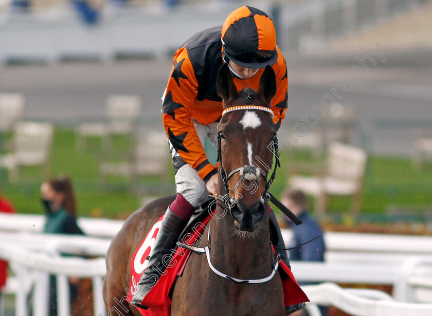 Put-The-Kettle-On-0001 
 PUT THE KETTLE ON (Aidan Coleman) winner of The Shloer Chase
Cheltenham 15 Nov 2020 - Pic Steven Cargill / Racingfotos.com