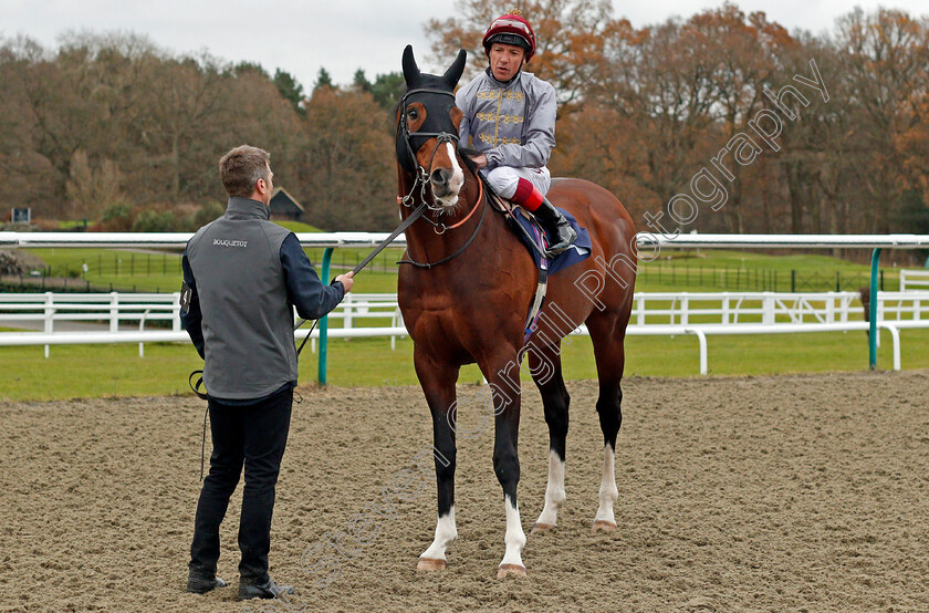 Toast-Of-New-York-0004 
 TOAST OF NEW YORK (Frankie Dettori) before winning The Betway Conditions Stakes Lingfield 6 Dec 2017 - Pic Steven Cargill / Racingfotos.com